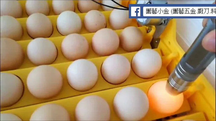 孵蛋機 使用說明!  電子加濕-孵化器 鵝 鴨 雞 鳥 孵蛋 滾軸 孵蛋器/孵蛋機/孵蛋箱 自動翻蛋 - 天天要聞
