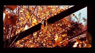 Dj sk New  songs video.....2019...sk