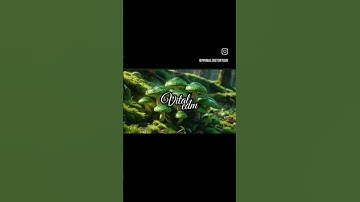 Blast Off #vitaledm #edm #dubstep