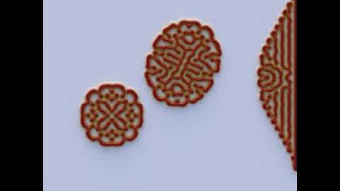 Labyrinth Reaction-Diffusion Turing Pattern - Morphogenesis