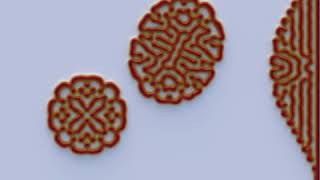 Labyrinth Reaction-Diffusion Turing Pattern - Morphogenesis