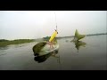 Pike fishing with top-water lures. Рыбалка на щуку на поверхностные приманки.