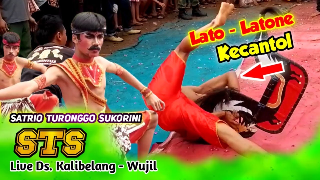 reog sts kalibelang ( satrio turonggo sukorini ) kalibelang wujil, reog kuthoromo, leak prpj bringin