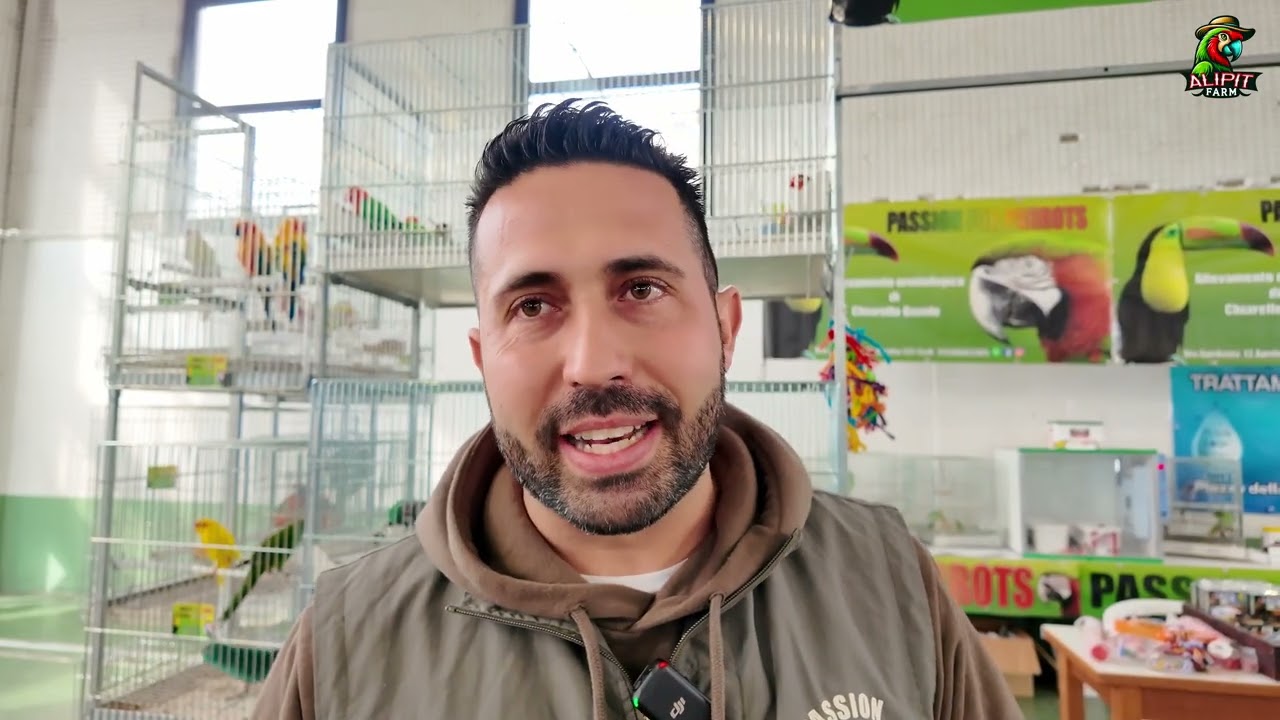 Fiera Mostra Scambio Animali Aprilia 8 Febbraio 2026 – Pappagalli e Animali Esotici Alipit Farm