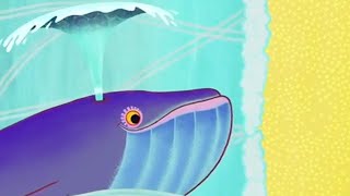 Why Whale Spouts  Tinga Tinga Tales   Episodes  S For Kids