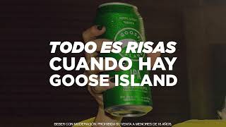 Goose Island | IPA