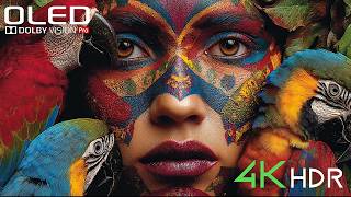 NEXT-LEVEL OLED DEPTH | 16K Dolby Vision | 4K HDR 60FPS