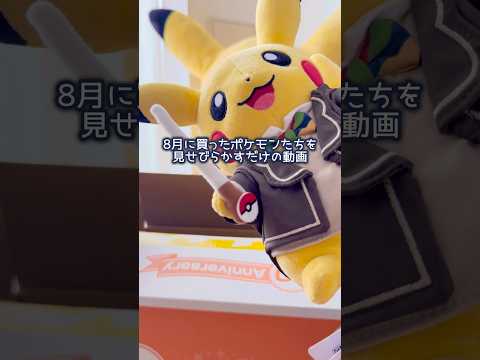 動画編集してたら無くしたピカチュウと再会した【ポケモン購入品】