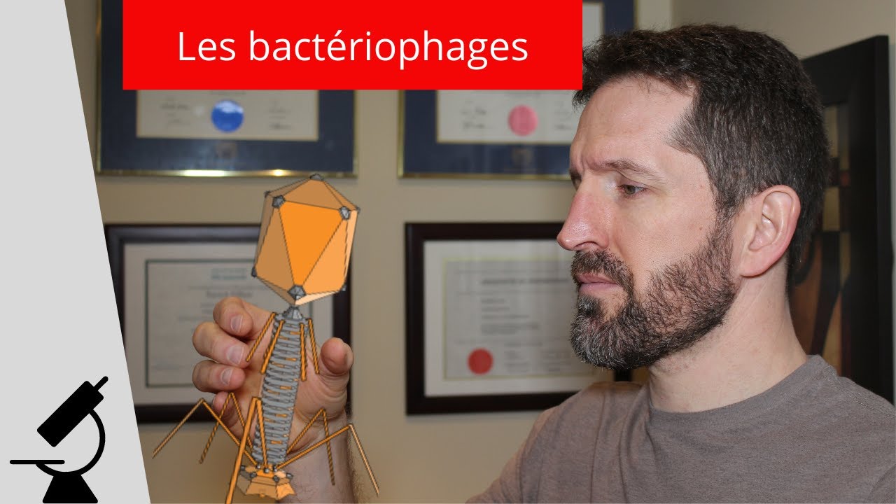 LES BACTÉRIOPHAGES : tueurs de bactéries