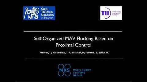 Self-Organized MAV Flocking Based on Proximal Control (Using GPS)