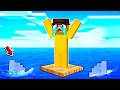 Minecraft DAR sunt BLOCAT PE MIJLOCUL OCEANULUI