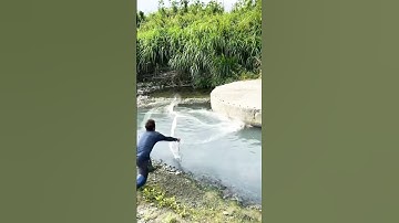 Cá Lớn - Vũng nước dưới gầm cầu cạn p2 😱 #khacthuyvlogg