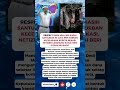 Rp50 Juta Per Korban! Keputusan Dedi Mulyadi Pasca Kecelakaan Kereta Bekasi #viral #kdm #kai #fyp