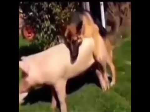 Ồ No Nó... Nhầm Người Rồi Anh Ơi. 😣😣