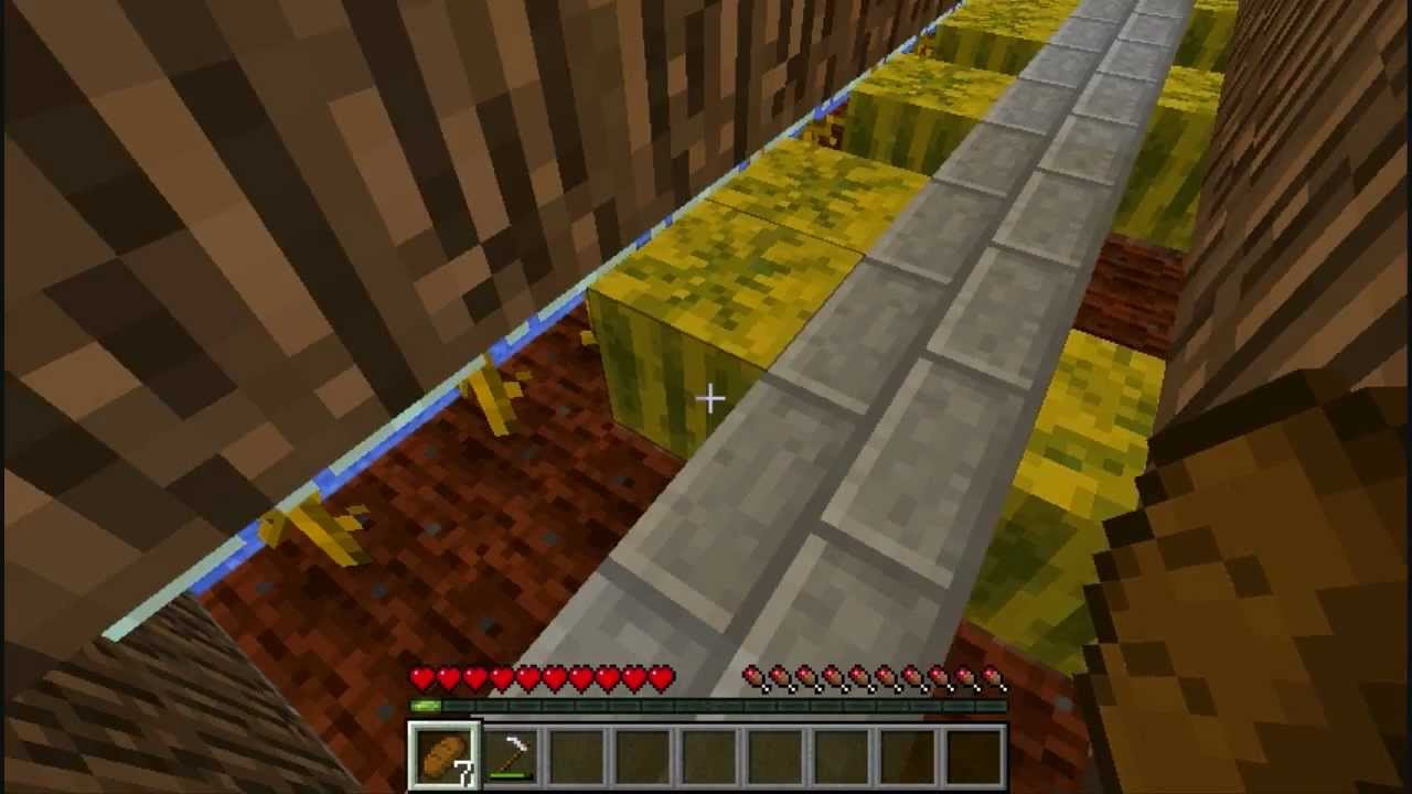 Minecraft Auto Melon Farm YouTube
