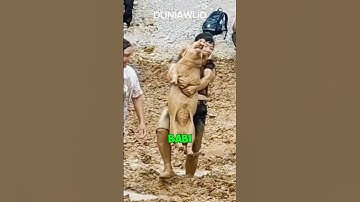 TRADISI UNIK!!!  #shorts #viralshort #viralvideos #shortvideo #tranding #traditional