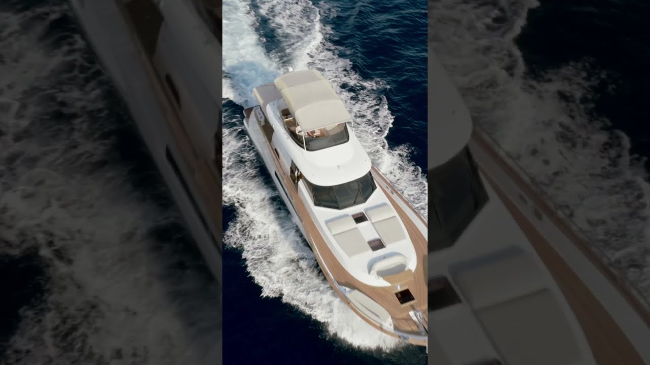 Monachus 70