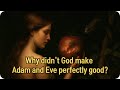 Why Does God Allow Evil? An Additional Support for the Case for Christianity.