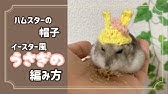 ハムスターに簡単にポンチョを着せる方法 うまる 3 How To Wear The Cape Poncho To Hamster Easiest Youtube ハムスターに簡単にポンチョを着せる方法 うまる 3 How To Wear The Cape Poncho To Hamster Easiest Youtube