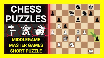 Chess Puzzles to Practice. Themes: Middlegame, Master games, Short puzzle. Learn Chess