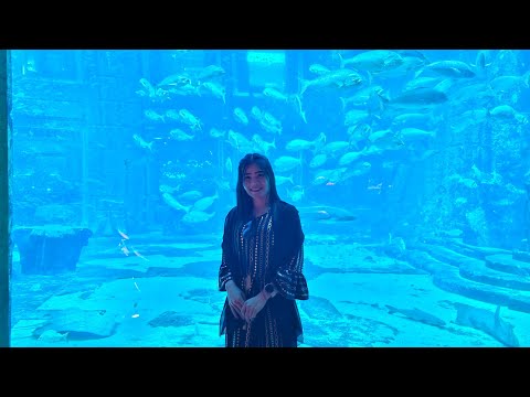 Atlantis The Lost Chambers Aquarium #dubailife #atlantis #thepalmdubai