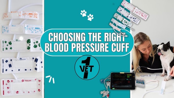 Contec 08A Veterinary Blood Pressure Monitor – Animal Ultrasound