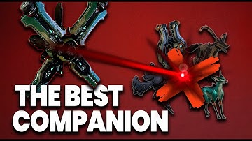 Best Hidden-Gem Companions in Warframe That Every Player Must Have in 2025