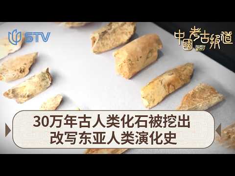 30万年古人类化石被挖出，改写东亚人类演化史#中国考古报道 FULL