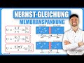 Nernst-Gleichung (Physiologie) - Membranspannung | Physikum M1 Übungsaufgaben