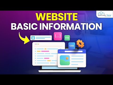 Website Basic Information according to SEO: Website Speed, Structure & More