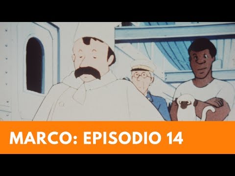 Video: Decisión Marco