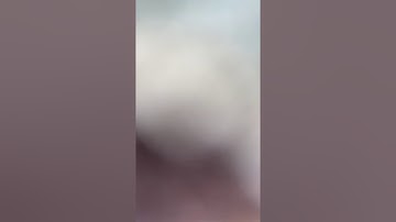 Unboxing hex bug vex robotics crossbow launcher building set Part 3 of 5