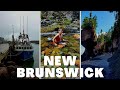 ПРЕКРАСНЫЙ НЬЮ-БРАНСУИК ЛЕТОМ - Bennett Lake, Alma, Hopewell Rocks - ЖИЗНЬ В КАНАДЕ 2020