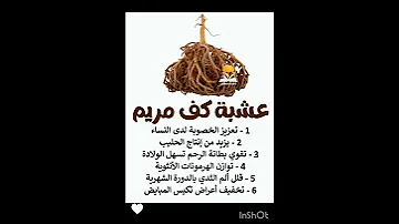 فوائد عشبة كف مريم 