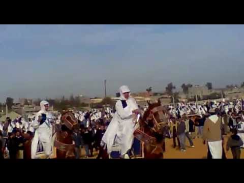 فرسان سيدي السايح