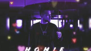 HOMIE - Эхинацея