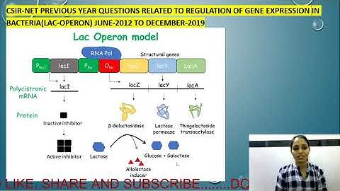 PYQs RELATED TO BACTERIAL GENE REGULATION(LAC-OPERON)(UNIT-3) FROM 2012 TO 2019||CSIR NET-2020||