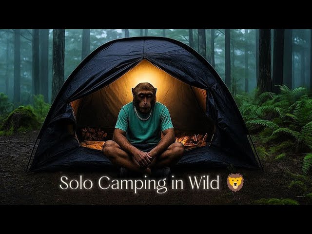 “Cooking in the Forest Rain 🌧🔥 | ASMR Tent Life” #aimonkeyvlog #solocamping #Bantooibhai