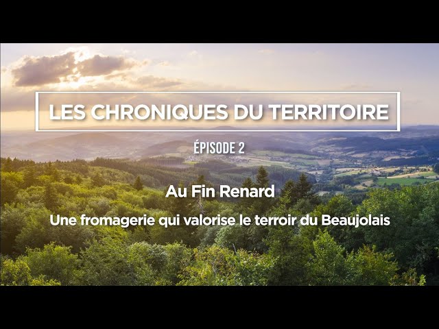 Épisode 2 - Les Chroniques du Territoire : Au Fin Renard