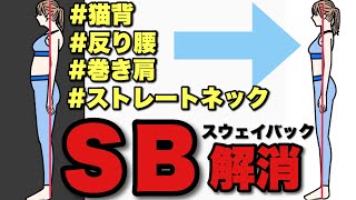 ken yamamoto LEVEL8】DVD2枚 筋肉の正しい運動 反り腰をなおす