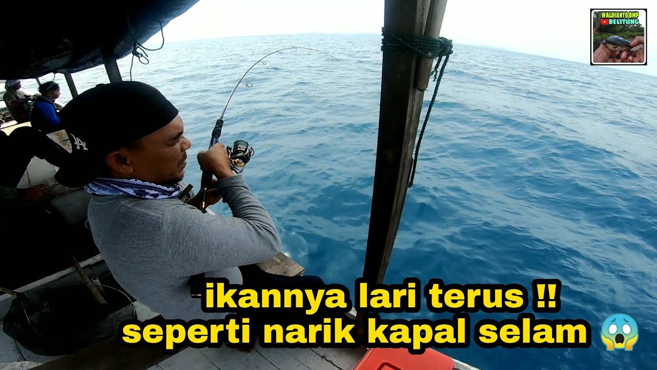 Reel Berderit Kencang dan PE Hampir Habis, Tarikan Ikan MONSTER ini Memang EDANN !!