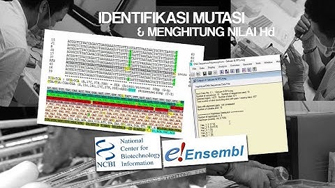 Acara 7.3 : Konfirmasi Sekuen - Identifikasi Mutasi dan Menghitung Nilai Haplotype Diversity (Hd)