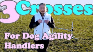 3 Crosses For Dog Agility Handlers