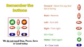 Meet Bee Bot! Year 1 (Stage 1) Science and Technology (Coding & Algorithms)