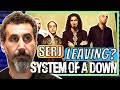 SERJ TANKIAN Leaving SYSTEM OF A DOWN? Serj Tankian - A.F. Day - Reaction