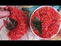 How to string garland-idly poo garland , veni/malai/mala/idli poo malai kattuvadhu yeppadi/DIY