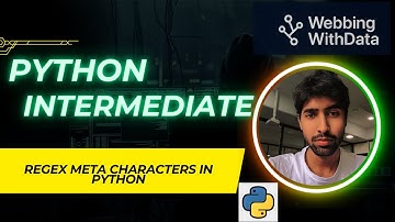 Regex Meta Characters in Python | Extract Phone Numbers, Notes & Financial Data with re Module