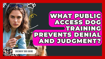 What Public Access Dog Training Prevents Denial And Judgment? - Obedient Dog Guide