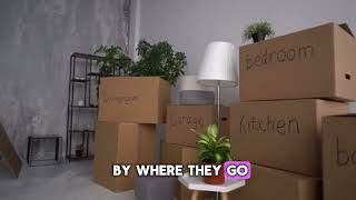 5 Moving Hacks to Save Your Sanity (and Your Back!)