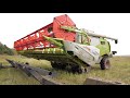 CLAAS TUCANO 450 с жаткой VARIO 770. Уборка рапса. Иркутская область АО Железнодорожник